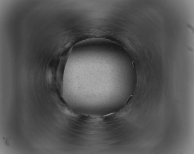 X0000091730576200709071503