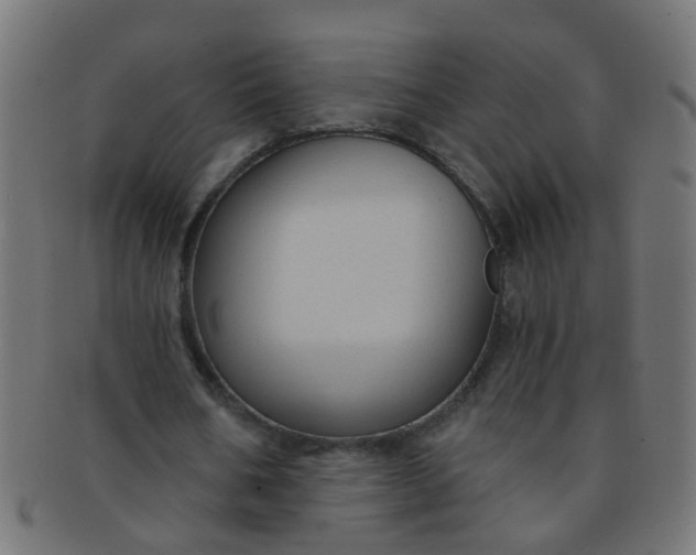 X0000091730578200709071502