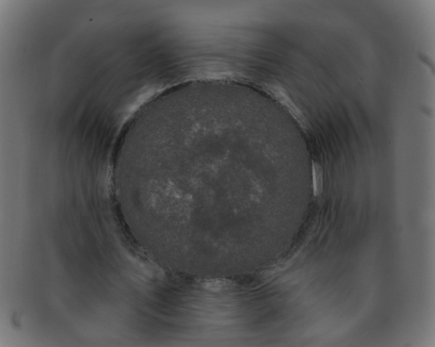 X0000091730579200709071502