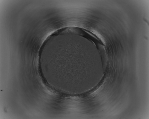 X0000091730580200709071502