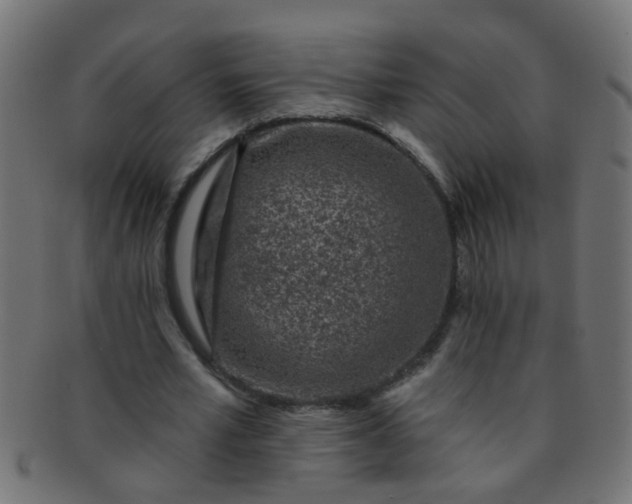 X0000091730581200709071502