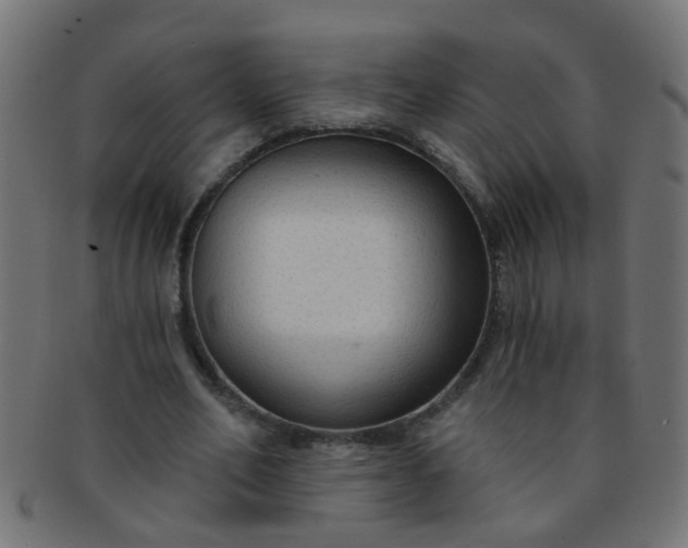 X0000091730582200709071502