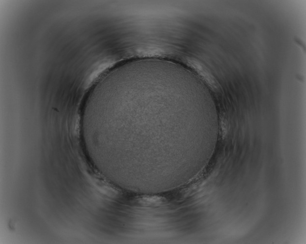 X0000091730583200709071502