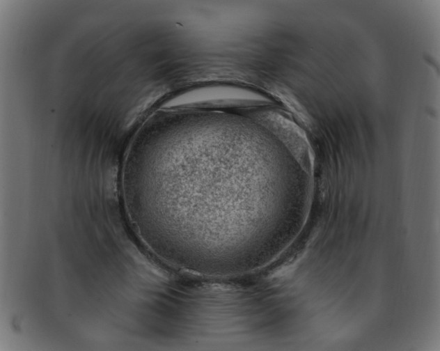 X0000091730585200709071502