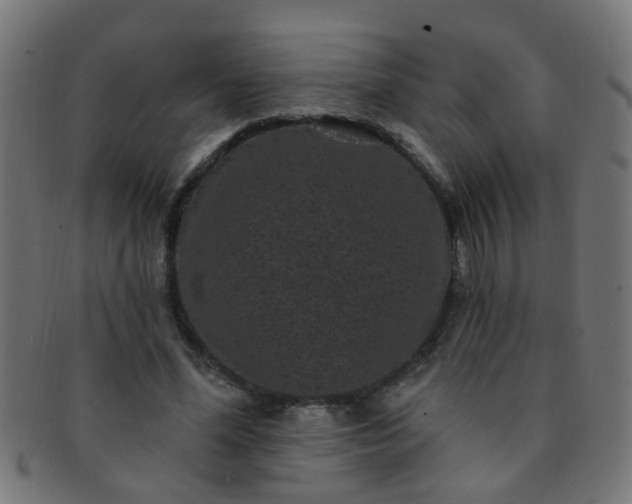 X0000091730588200709071502