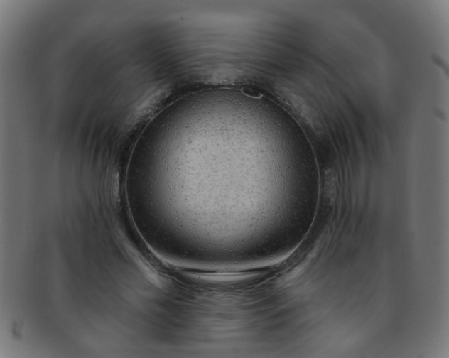 X0000091730589200709071502