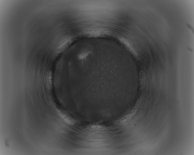 X0000091730590200709071502