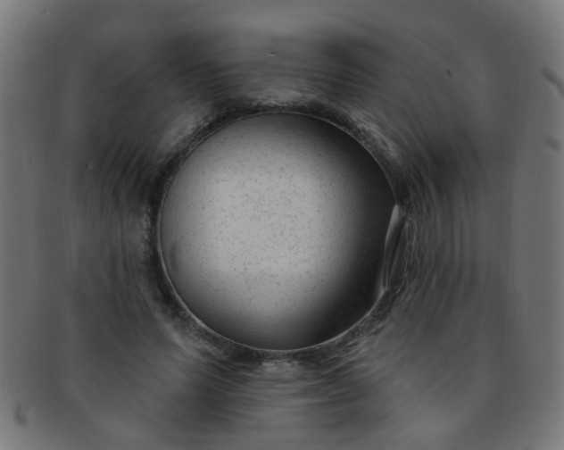 X0000091730591200709071502