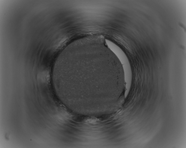 X0000091730595200709071502