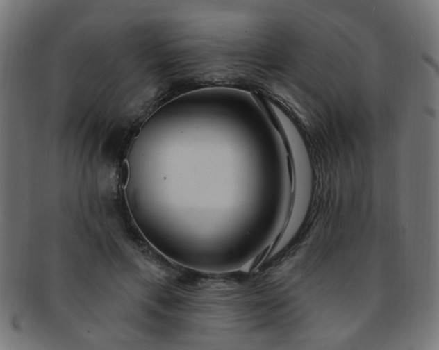 X0000091730597200709071502