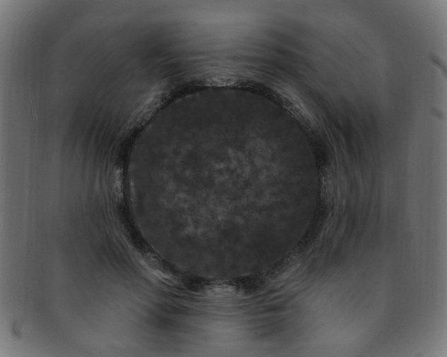 X0000091730598200709071502