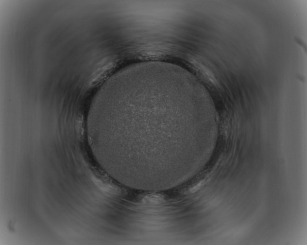 X0000091730599200709071502