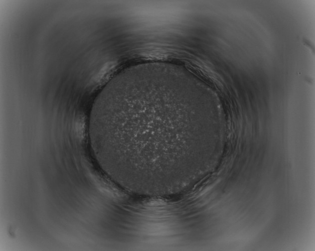 X0000091730600200709071502