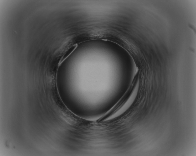 X0000091730601200709071502