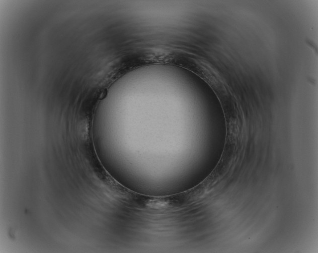 X0000091730602200709071502