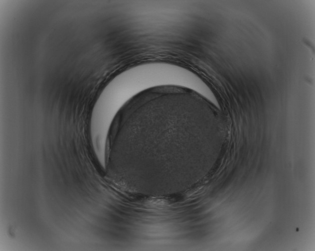 X0000091730604200709071502