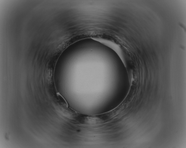 X0000091730605200709071502