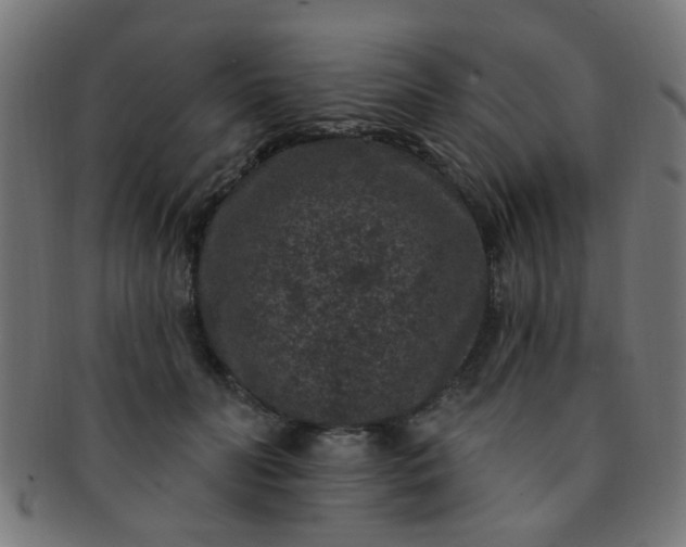 X0000091730606200709071502