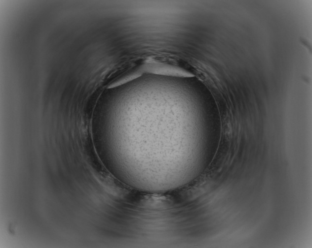 X0000091730607200709071502