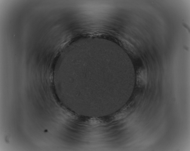 X0000091730608200709071502