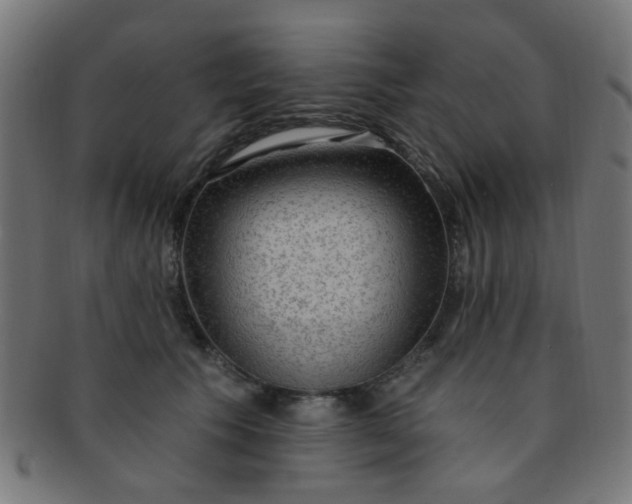 X0000091730609200709071502