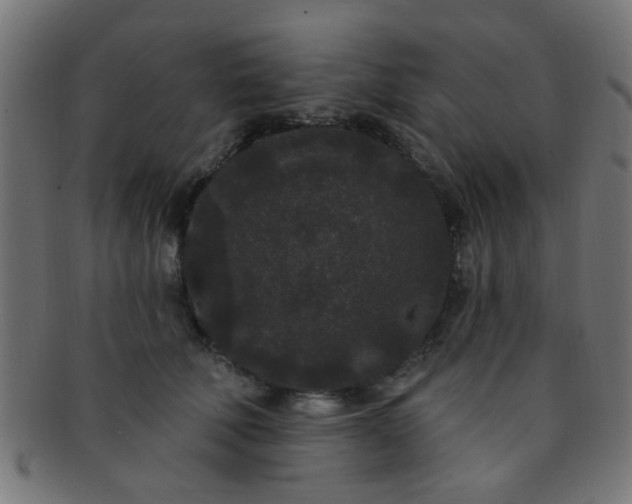 X0000091730610200709071502