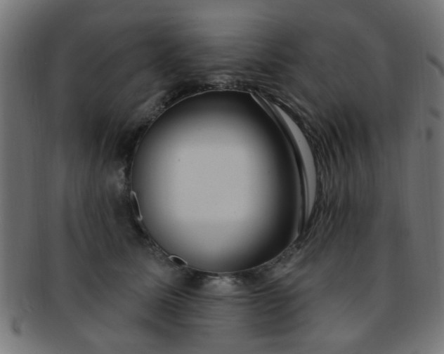 X0000091730611200709071501