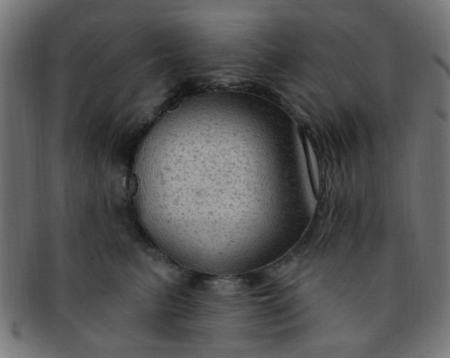 X0000091730615200709071501