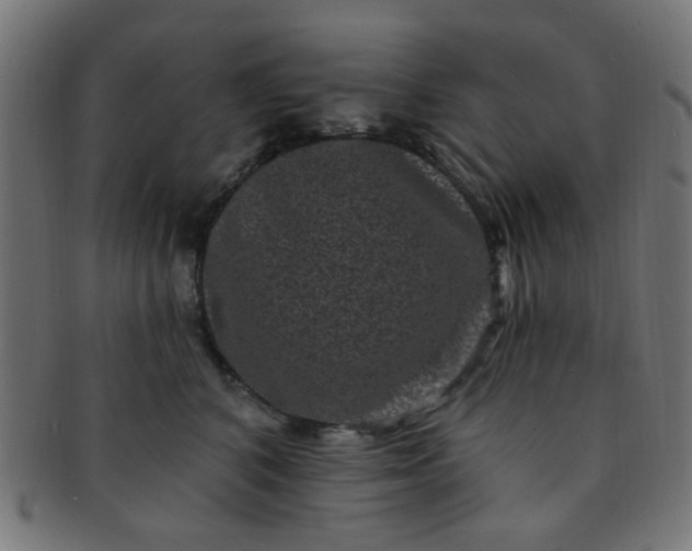 X0000091730616200709071501