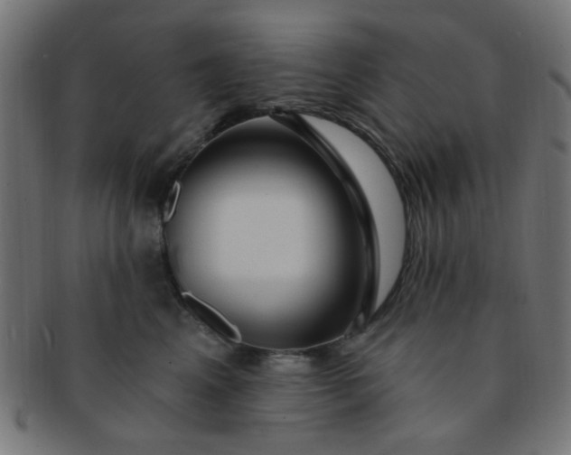 X0000091730617200709071501