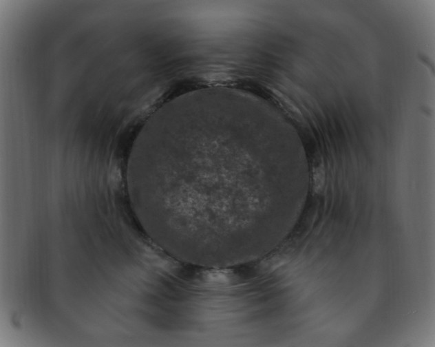 X0000091730618200709071501