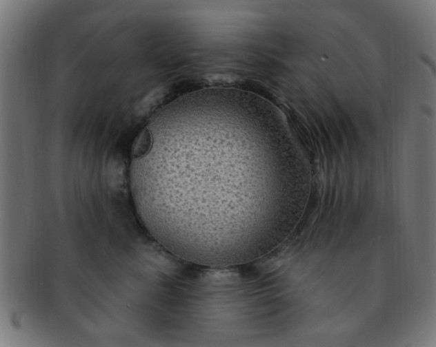 X0000091730619200709071501