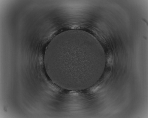 X0000091730620200709071501