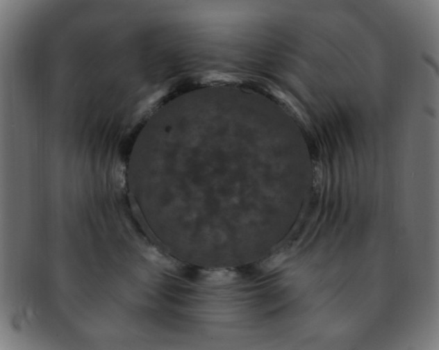 X0000091730621200709071501