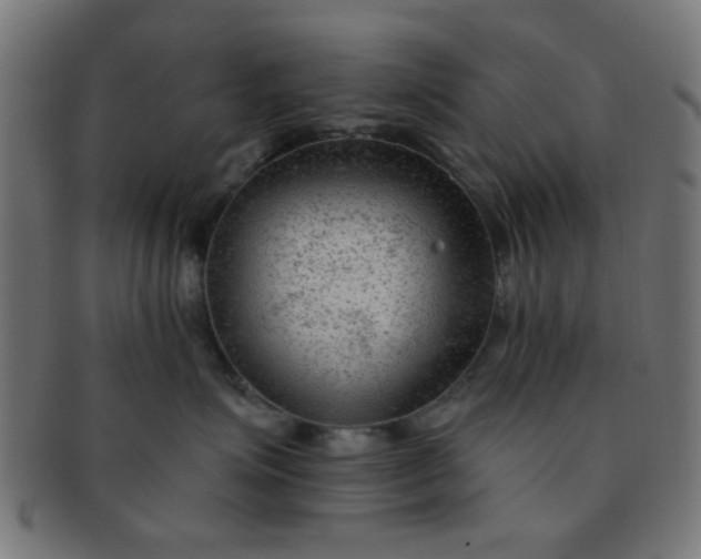 X0000091730623200709071501