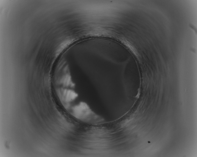 X0000091730626200709071501