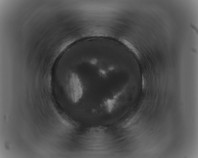 X0000091730627200709071501