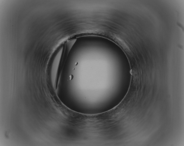 X0000091730628200709071501