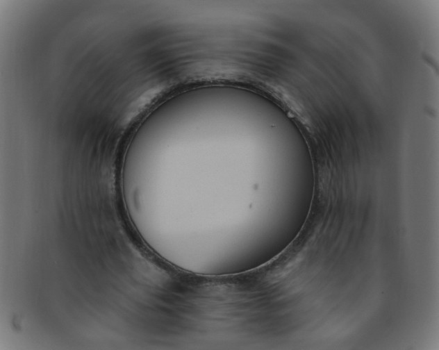 X0000091730629200709071501