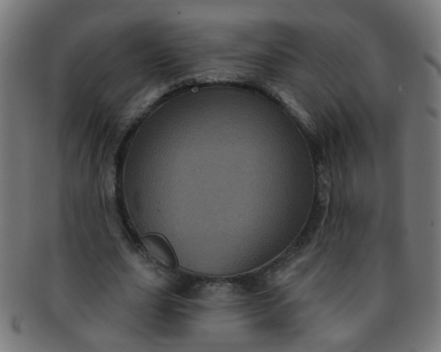 X0000091730631200709071501