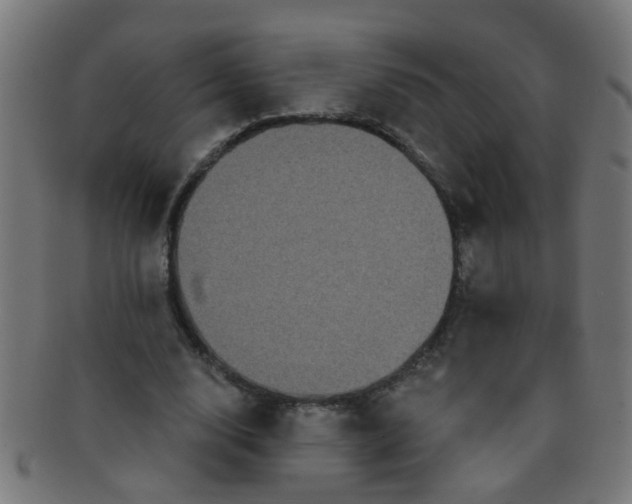 X0000091730632200709071501