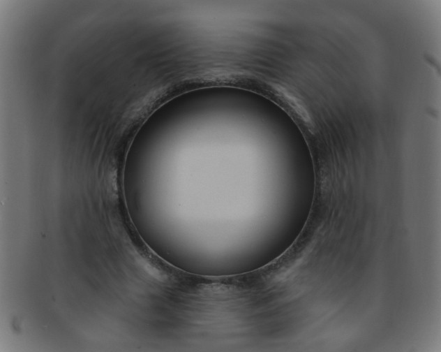 X0000091730633200709071501