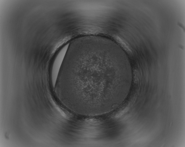 X0000091730634200709071501