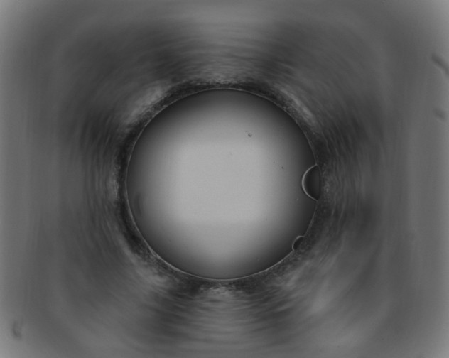 X0000091730635200709071501