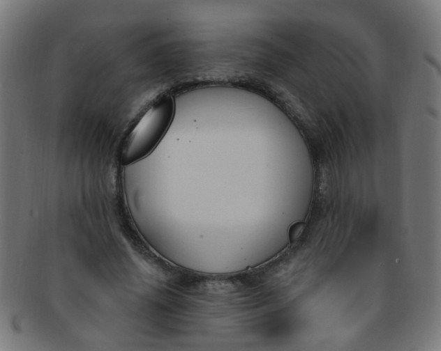 X0000091730636200709071501