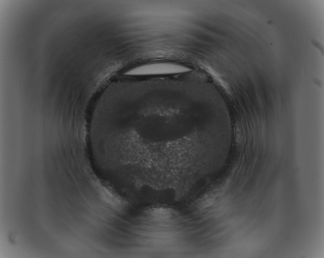 X0000091730637200709071501