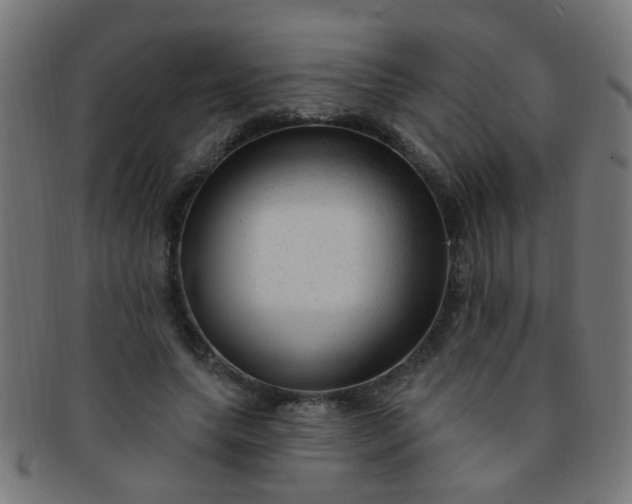 X0000091730639200709071501