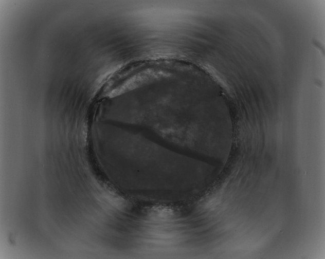 X0000091730640200709071501