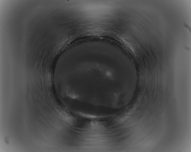 X0000091730641200709071501