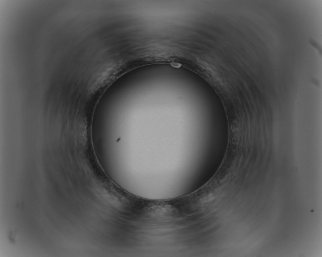 X0000091730642200709071501